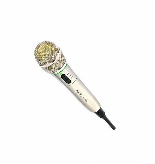 Ασύρματο Επαγγελματικό Μικρόφωνο Για Karaoke – AT-309